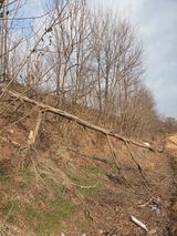 팜모닝 벼·영농일지 게시글 이미지