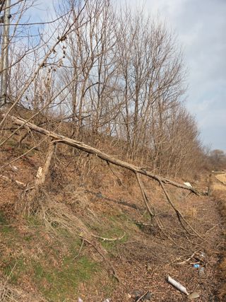 백현호님의 벼 · 영농일지 작성글 사진