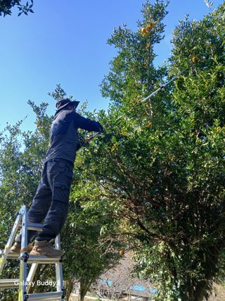 (힐링따오기쉼터)님의 기타작물 · 영농일지 작성글 사진