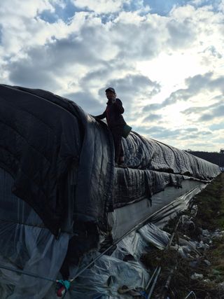 늘햇살팜 님의 기타작물 · 영농일지 작성글 사진