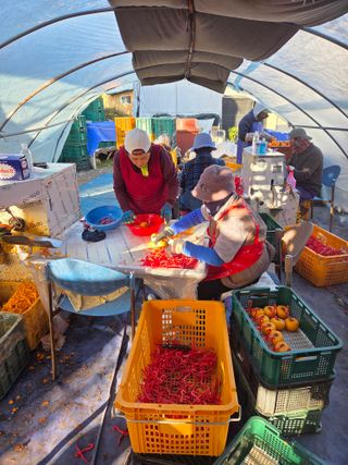 에덴농원님의 기타작물 · 영농일지 작성글 사진