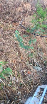 팜모닝 기타작물·영농일지 게시글 이미지