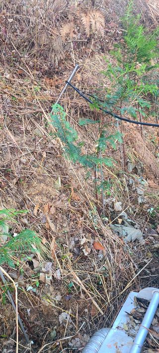 정응화님의 기타작물 · 영농일지 작성글 사진