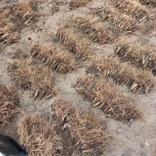 황덕순 님의 기타작물 · 영농일지 작성글 사진