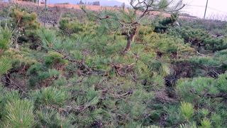 이정운님의 기타작물 · 영농일지 작성글 사진