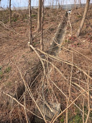 백현호님의 벼 · 영농일지 작성글 사진