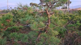 이정운님의 기타작물 · 영농일지 작성글 사진