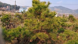 이정운님의 기타작물 · 영농일지 작성글 사진