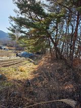 팜모닝 고추·영농일지 게시글 이미지