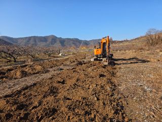 김정훈님의 복숭아 · 영농일지 작성글 사진