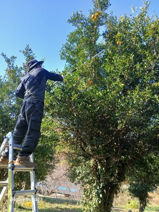 (힐링따오기쉼터)님의 기타작물 · 영농일지 작성글 사진