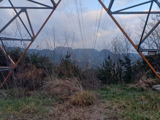 전원수님의 기타작물 · 영농일지 작성글 사진