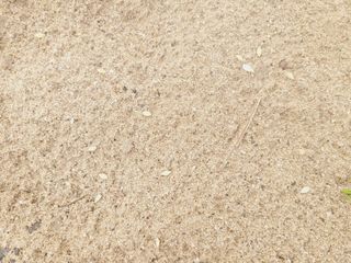 한경훈님의 기타작물 · 영농일지 작성글 사진