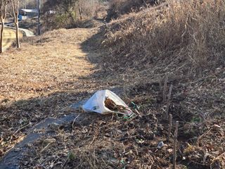 서보석님의 두릅 · 영농일지 작성글 사진