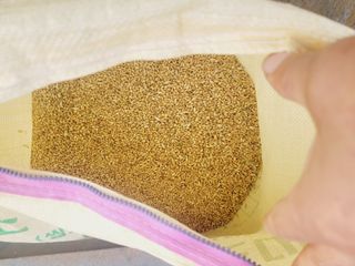 한경훈님의 기타작물 · 영농일지 작성글 사진