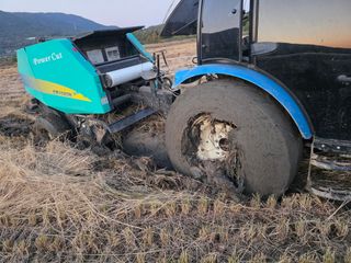 정영기대산축산농부♡님의 벼 · 영농일지 작성글 사진