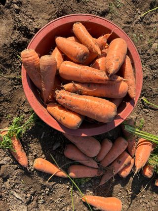 한경훈님의 기타작물 · 영농일지 작성글 사진