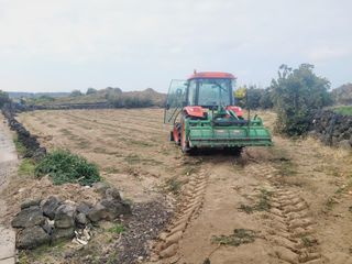 한경훈님의 기타작물 · 영농일지 작성글 사진