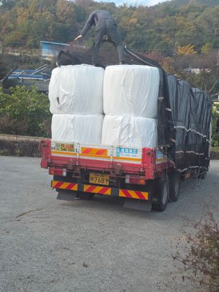 정영기대산축산농부♡님의 벼 · 영농일지 작성글 사진