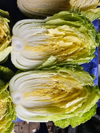 연모 자연의행복님의 기타작물 · 영농일지 작성글 사진