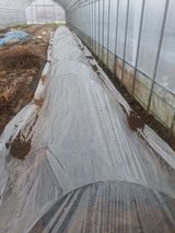 이재국님의 작성글 사진