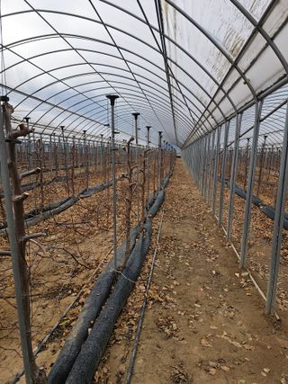 한혜경님의 기타작물 · 영농일지 작성글 사진