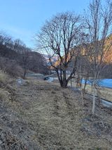 팜모닝 두릅·영농일지 게시글 이미지