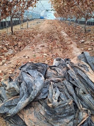 dor3720님의 기타작물 · 영농일지 작성글 사진