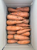 팜모닝 기타작물·영농일지 게시글 이미지