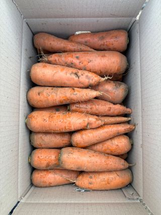 한경훈님의 기타작물 · 영농일지 작성글 사진