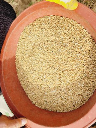 한경훈님의 기타작물 · 영농일지 작성글 사진