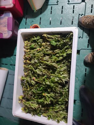 무주설천면 반딧팝님의 작성글 사진