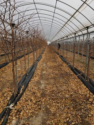 한혜경님의 기타작물 · 영농일지 작성글 사진