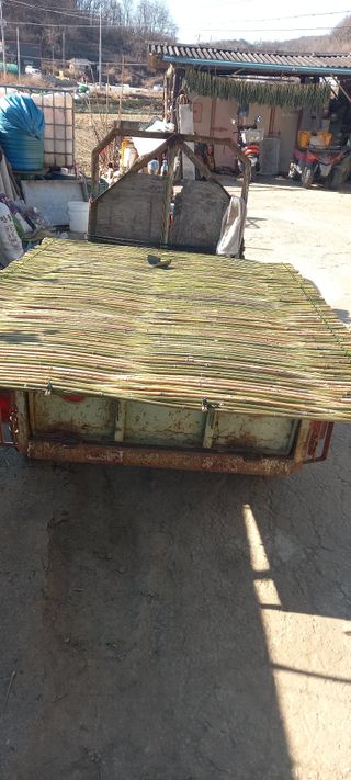 김대현(청솔)님의 기타작물 · 영농일지 작성글 사진