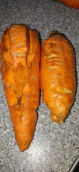 팜모닝 기타작물·영농일지 게시글 이미지