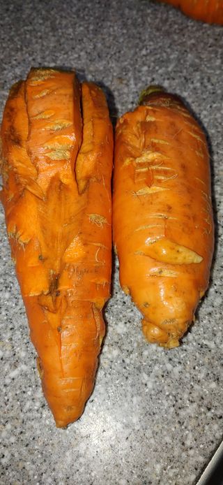 김수학님의 기타작물 · 영농일지 작성글 사진