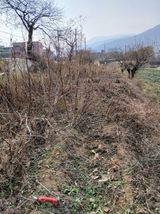 (힐링따오기쉼터)님의 작성글 사진