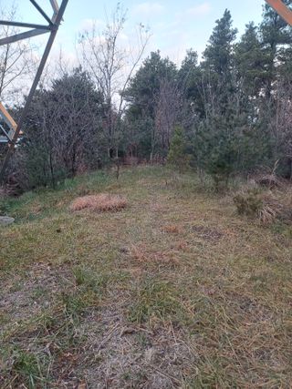 전원수님의 기타작물 · 영농일지 작성글 사진