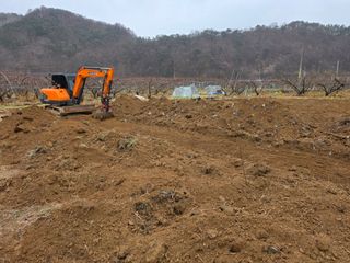 김정훈님의 복숭아 · 영농일지 작성글 사진