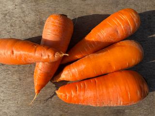 한경훈님의 기타작물 · 영농일지 작성글 사진