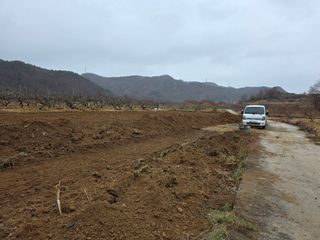 김정훈님의 복숭아 · 영농일지 작성글 사진