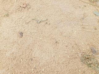 한경훈님의 기타작물 · 영농일지 작성글 사진