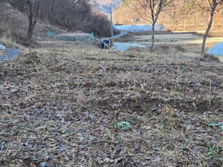 서보석님의 두릅 · 영농일지 작성글 사진