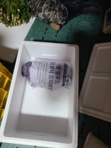 무주설천면 반딧팝님의 작성글 사진