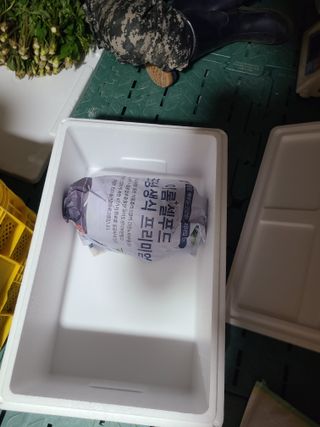 무주설천면 반딧팝님의 두릅 · 영농일지 작성글 사진