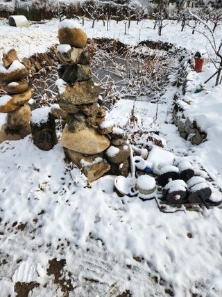 최상길 님의 기타작물 · 영농일지 작성글 사진