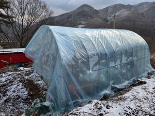 서보석님의 작성글 사진