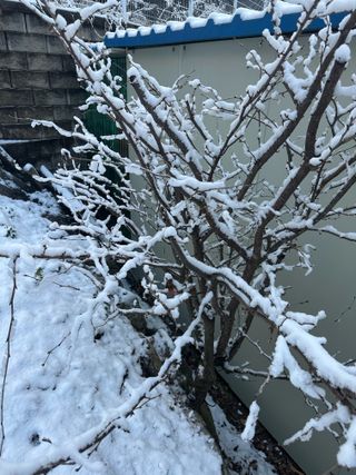 이익수님의 기타작물 · 영농일지 작성글 사진