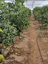 꿀벌과개미님의 작성글 사진