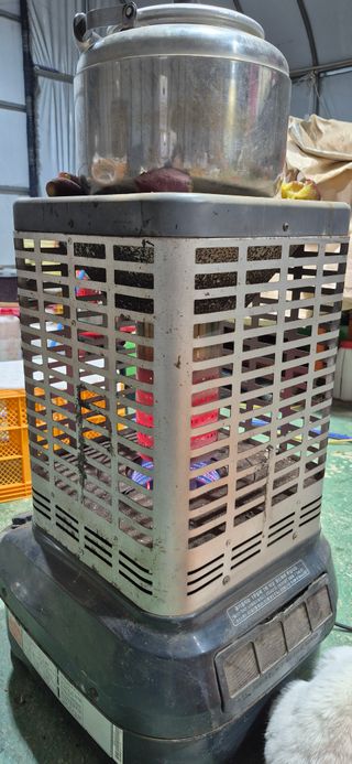 강성분님의 고구마 · 영농일지 작성글 사진